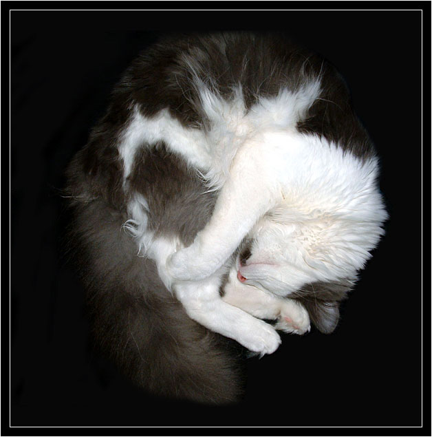 <b>~ Klubko ~</b><br>
