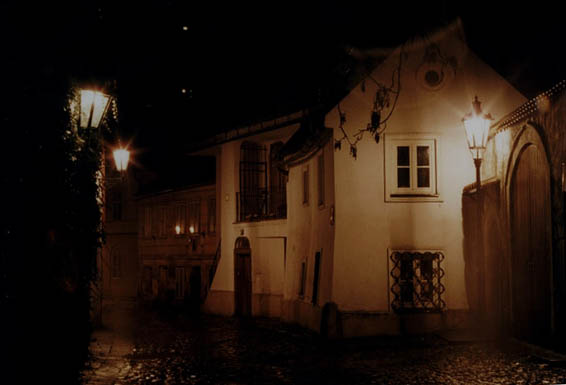 Nový svět