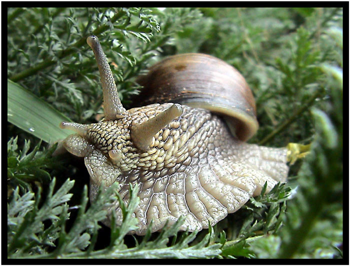 Běh na dlouhou trať :))