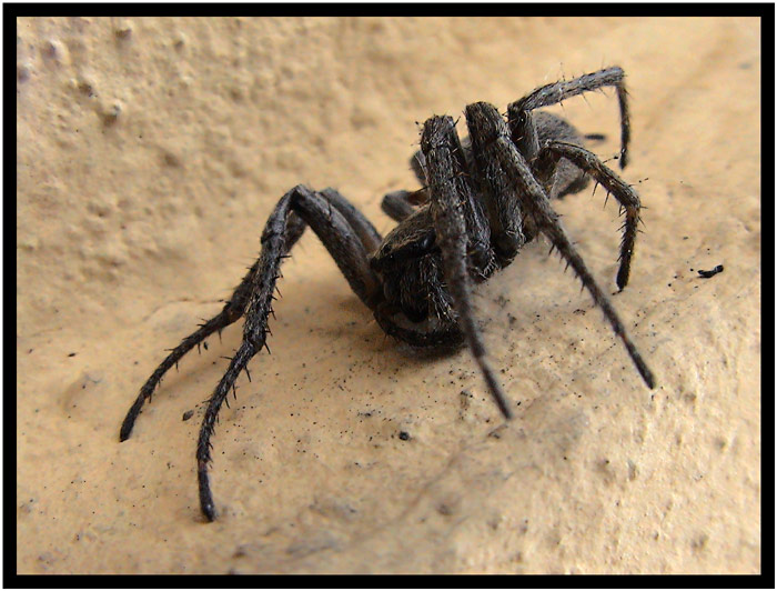 Pro štěstí..... :)