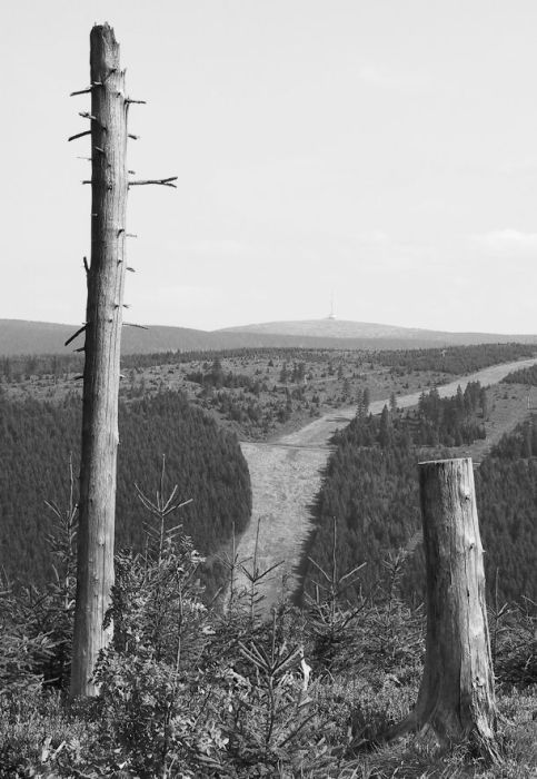mezi kůly...