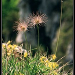 ze sulovských skal _ 3