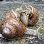 tak já radši jdu....