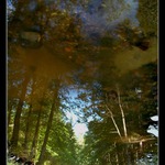 Reflection