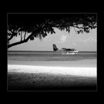 Mary, mame navstevu...