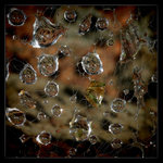 <b>* Private universe *</b>