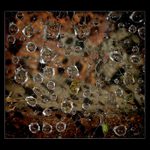 <b>* Neverending universe *</b>