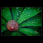 <b>* S Y M E T R Y *</b>