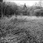 Jarni posezeni v trave :-)