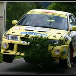 Vlček letem světem