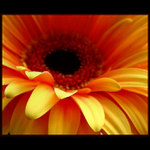 <b>:.PLAMENY PEKELNÉ.: