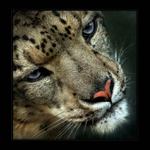 <b>.."VÍŠ, NĚCO TI MUSÍM ŘÍCT.."..