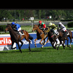 Nedělní odpoledne ve Velké Chuchli