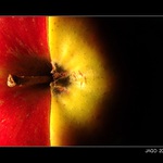 APPLE...