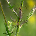 složitější záležitost