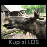 Takové obyčejné losování