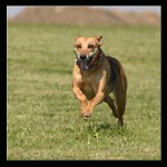 <b>Už zase skáču přes kaluže :o)</b>