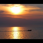 podvečerní lov....