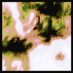 Příběhy, které vyprávěl sakurový strom ....