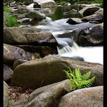 Jarni Čertova stěna II