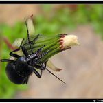 Šplhám až ke hvězdám a na hubu nepadám!