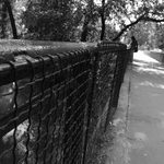 <b>.[.jarni samota.].</b>