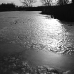 <b>.[.zase na rybniku.].</b>