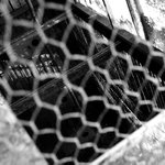 <b>.[.rise za pletivem.].</b>