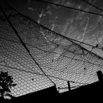 <b>[.vecer za plotem.]</b>