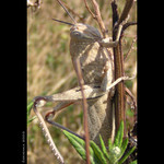 *<i>jedno prázdninové makro</i>*