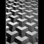 <B>Podlahovka obecná...:o)