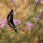 Připravte se, odlétáme!
