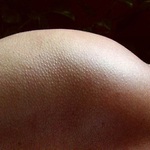 křidýlko nebo stehýnko ?