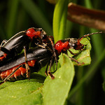 Kladelko na svem miste ...:-)