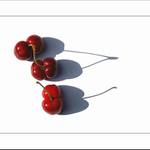 -- siamské třešně --