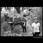 Rumunsko-pred a po praci...