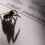 a kde je web ???