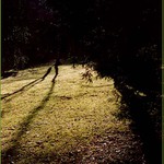 ... jarní probouzení ...