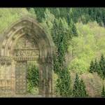 V gotické katedrále lesa