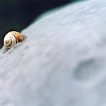 -= zivot na planetke =-