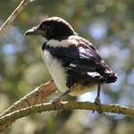 A neotočím se ... (protože bych spadlo)