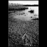 Rybník III: Znamení