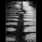 Příliš vzdálený pes