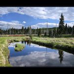 Některý z nich pořád ještě žije ...