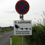vodičský rébus
