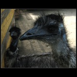 Hele, pojď se taky ukázát !!!