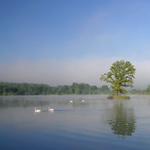 A rána jsou zde mlžná