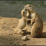 Vše nejlepší a pusu k tomu.