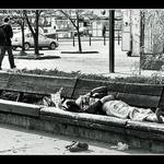 .: Chodec banskobystrický: Jarná pohoda :.