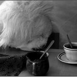 Čas na kafe